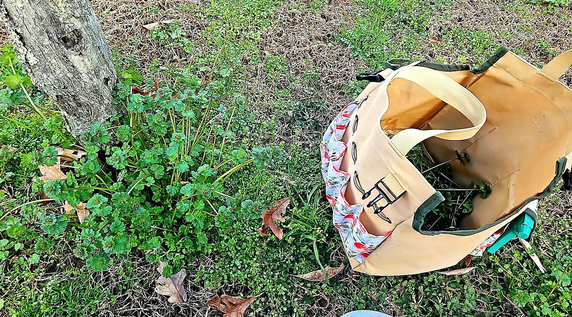 Foraging and using what we already have.